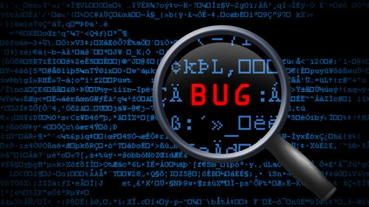 software bugs