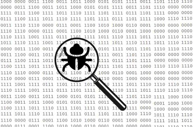 software bugs
